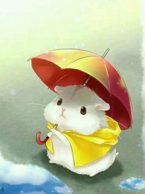 书耽官网_最新最全的纯爱小说,同人小说,纯爱